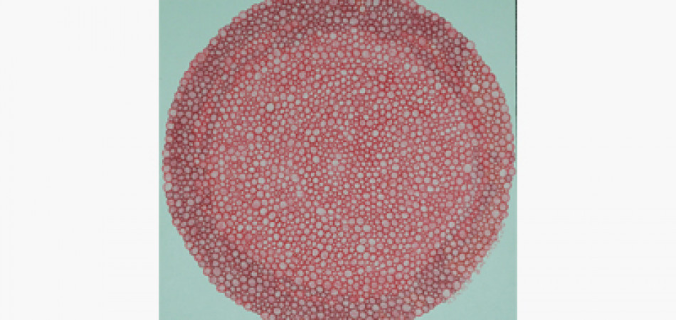 做功課─羅睿琳畫展